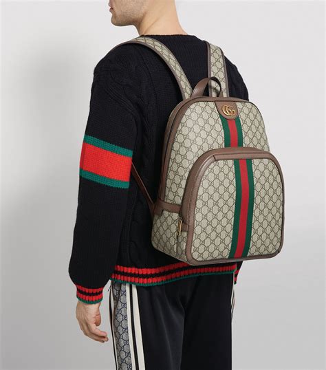 gucci backpack beige|vintage gucci ophidia bag.